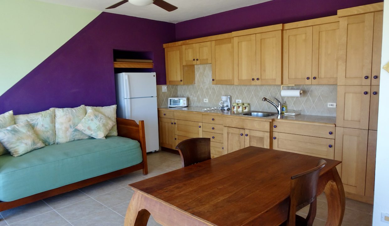 25-Garden-level-fully-equiped-kitchen-DSC07666