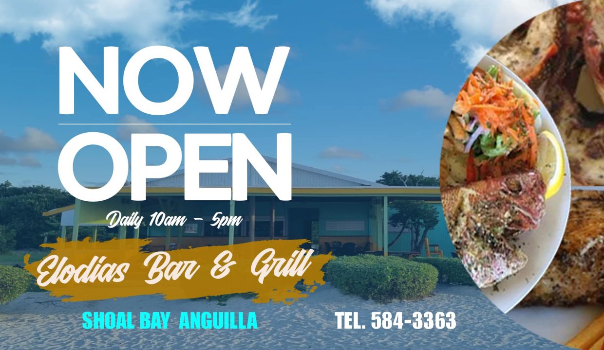 475254403_2497623807239252_2707586673316704939_n