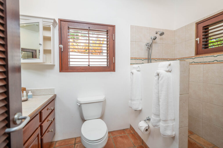 Beach-Palm-16_20241127-768x512