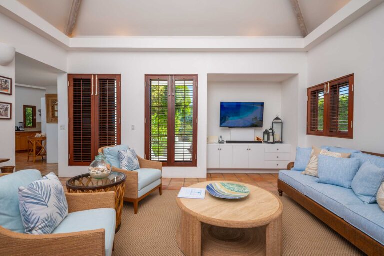 Beach-Palm-3_20241127-768x512