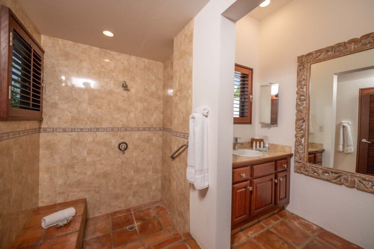 Beach-Palm-5_20241127-768x512