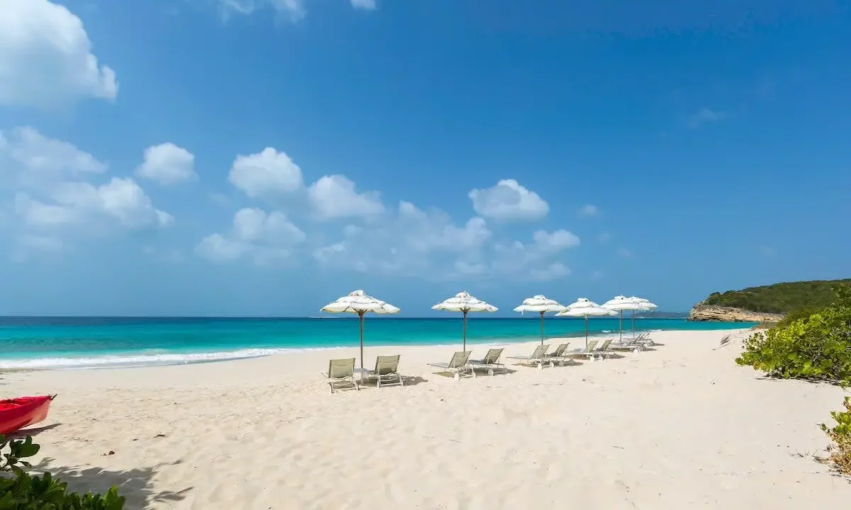 Santosha-Anguilla-2