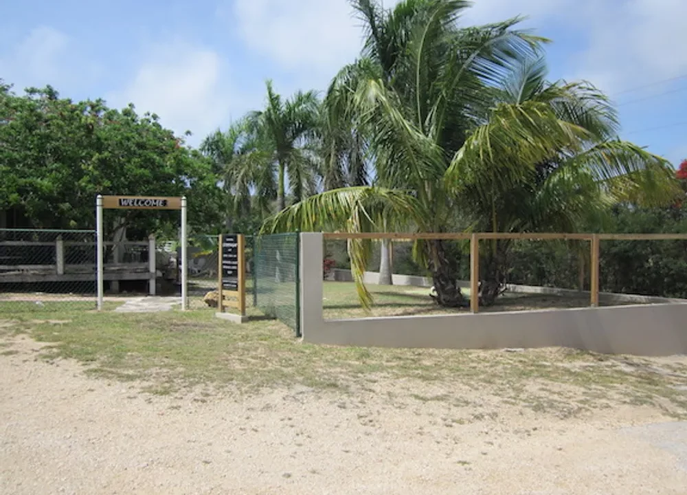 business-opportunity (10)