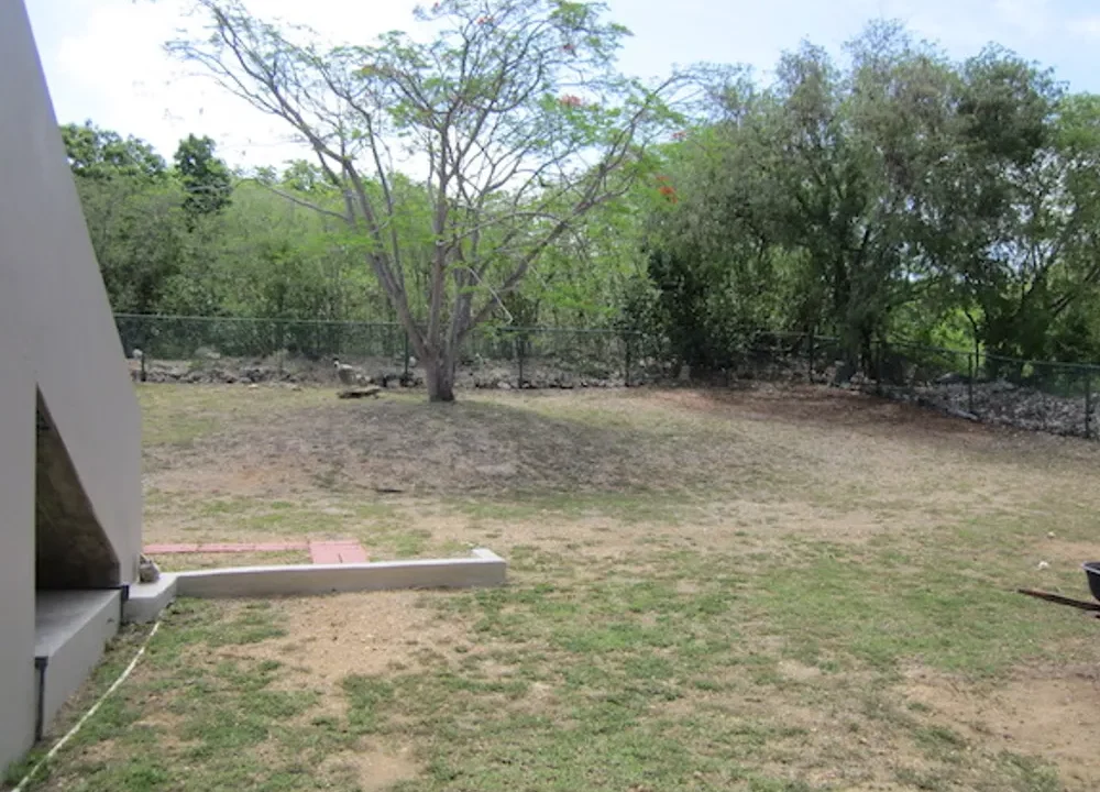 business-opportunity (16)