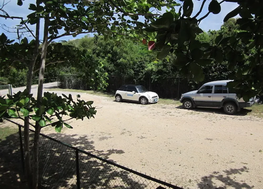 business-opportunity (19)