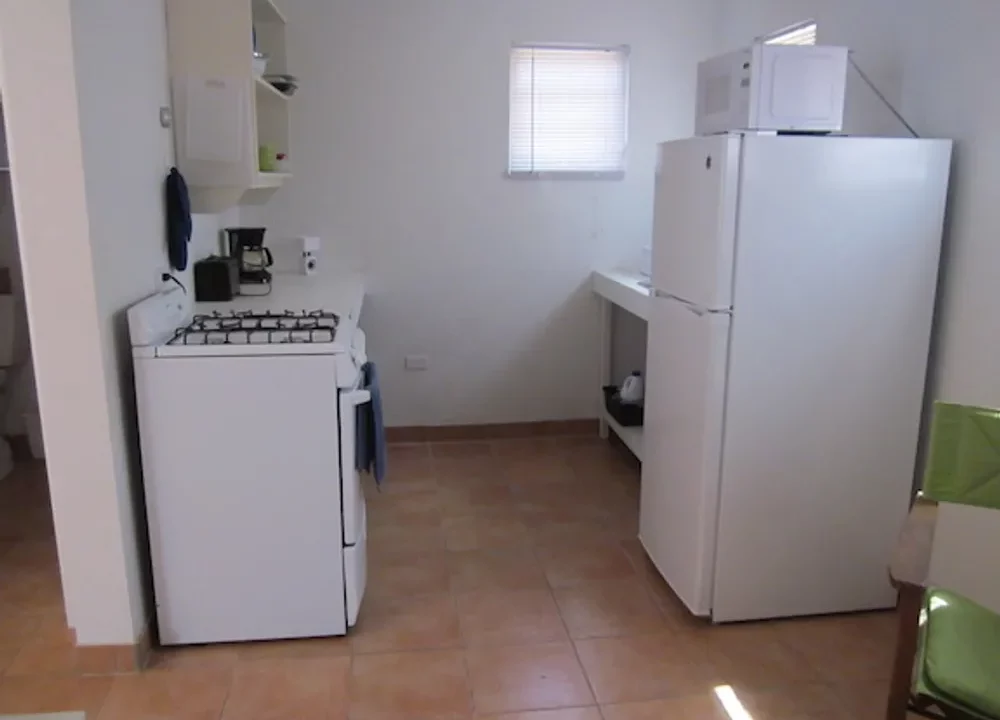 business-opportunity (30)