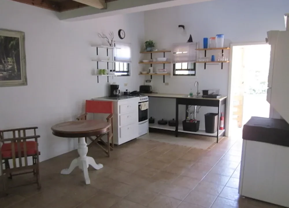 business-opportunity (33)