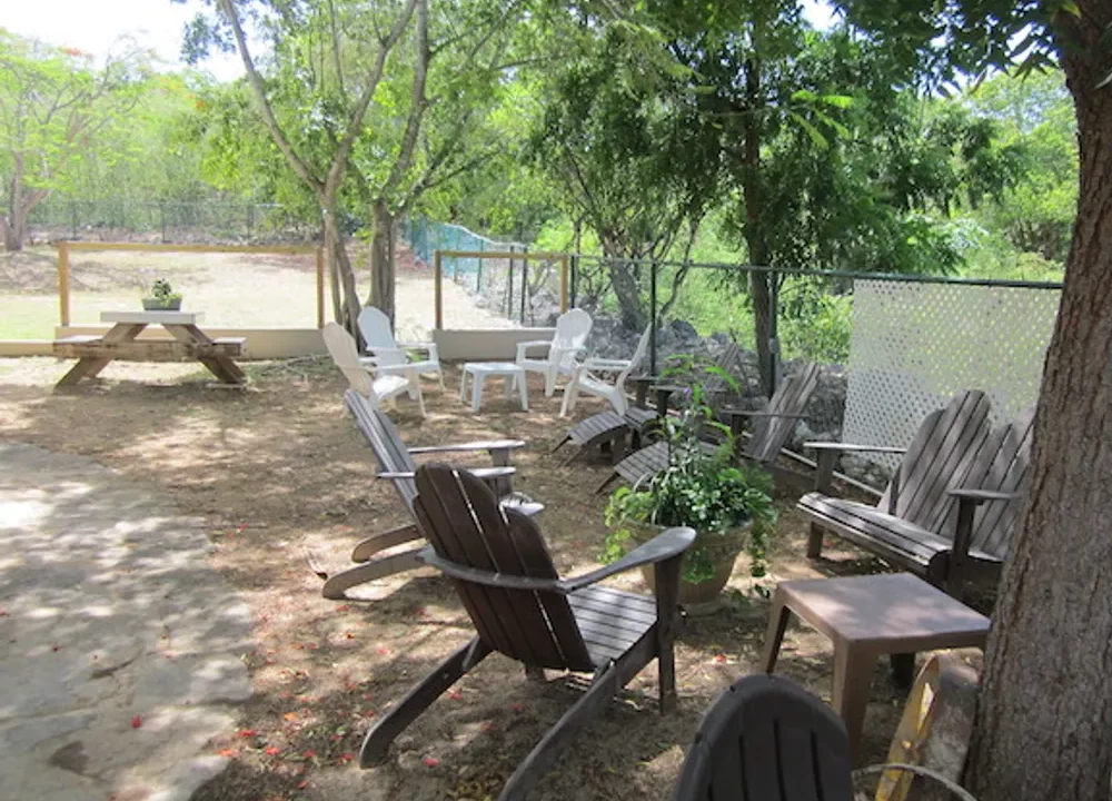 business-opportunity (4)