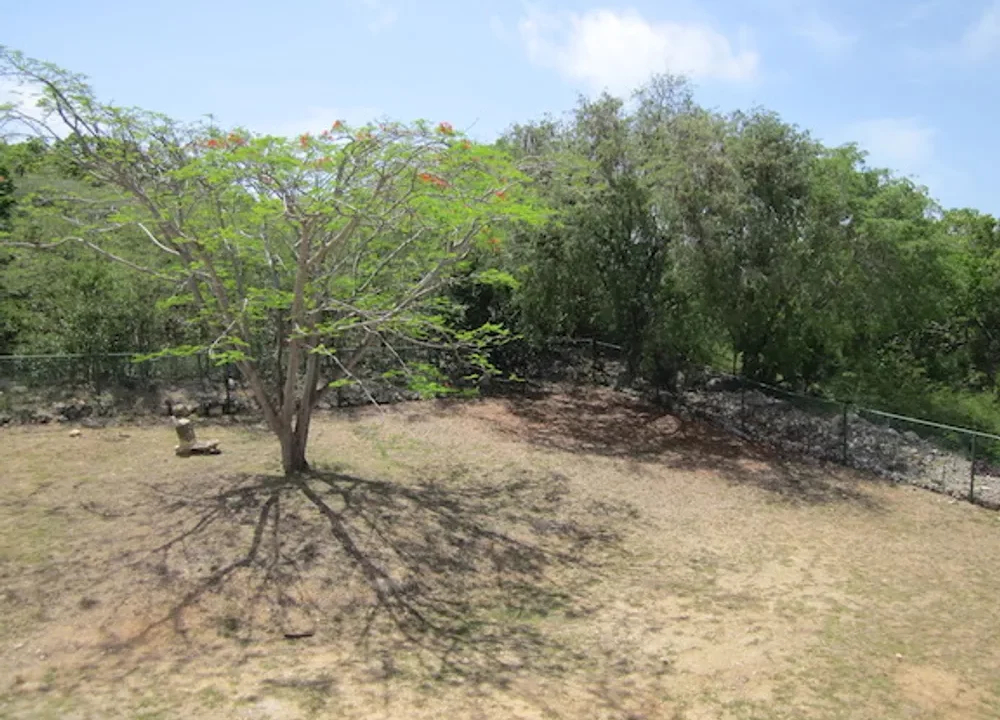 business-opportunity (7)