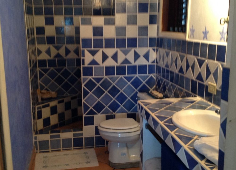 librarybath-e1596741073561