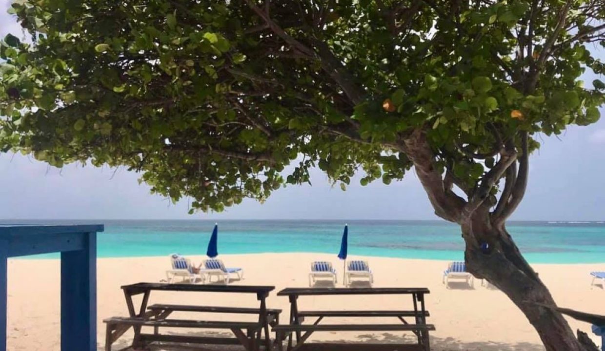 107762595_2743049132684662_5376891206263994595_n