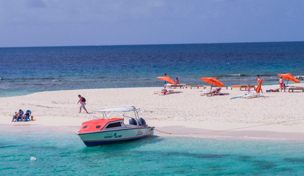 466463635_10224612699299322_6961001776150559118_n