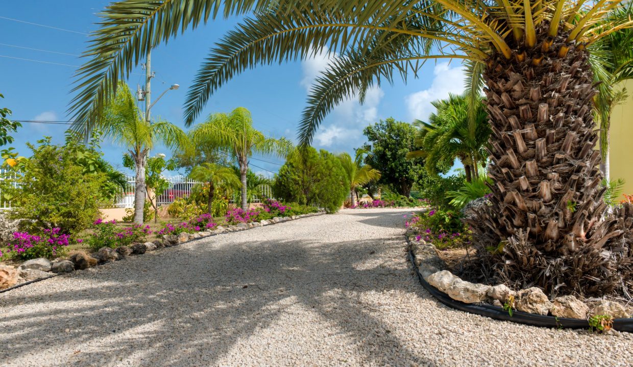 480708835_1352172579505922_8568987740831014218_n