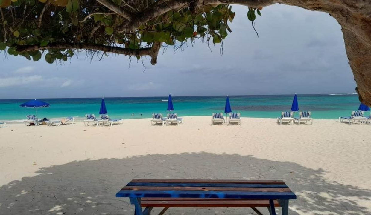 490471305_1223719579758787_7746808364248326163_n