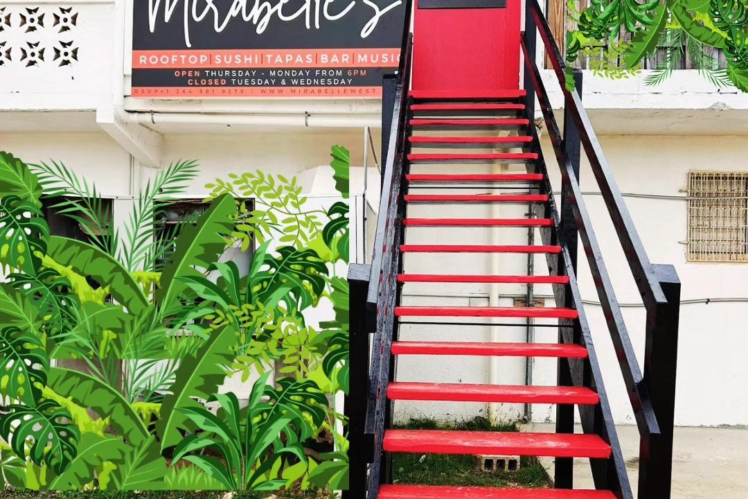 491752588_1236996031763414_7394953951573954438_n