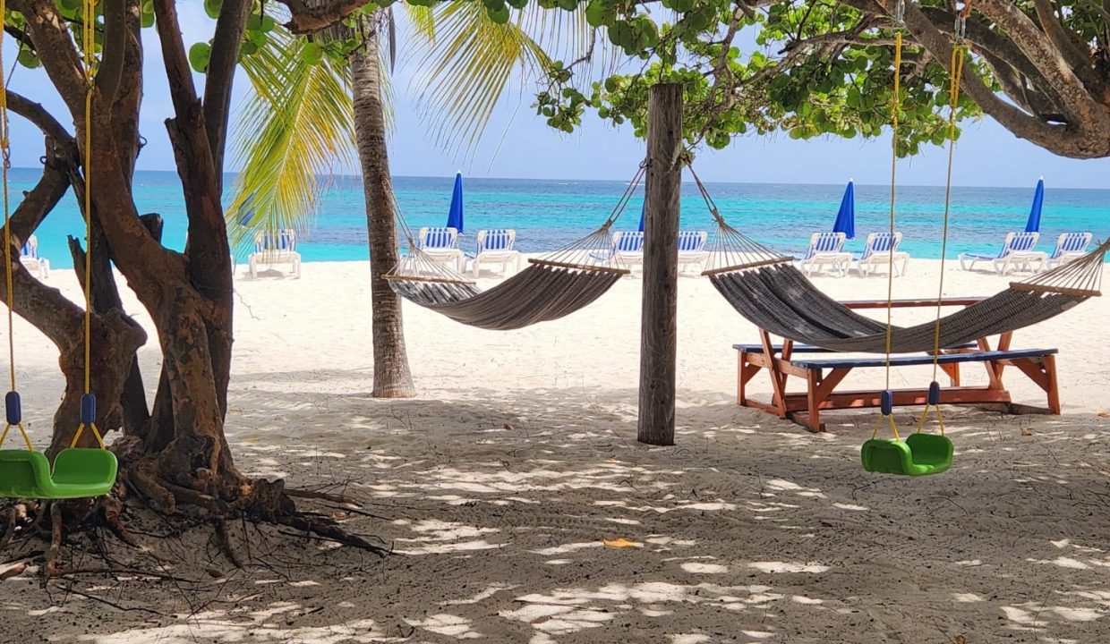 491925310_1236017258529019_766110084317463852_n