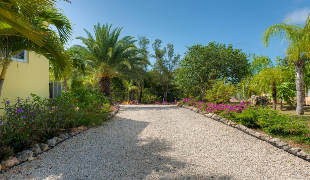 50608239_393908191377935_6398065772710592512_n