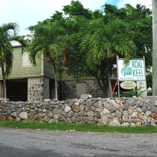 SUSAN-CROFT-PHOTOGRAPHY-Copyright-2012-www.AnguillaEscape.com-14-540x540