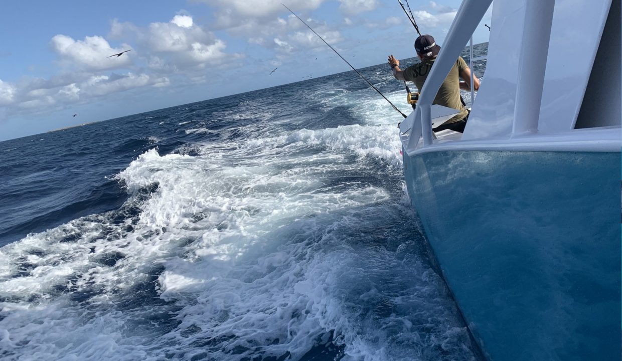 Striker-AnguillaBeachesShoot-57-scaled-1