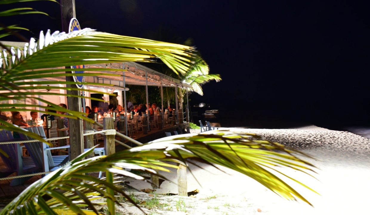 susan_croft_photography_www_wildblueimages_com_copyright_2018-86-2048x1365