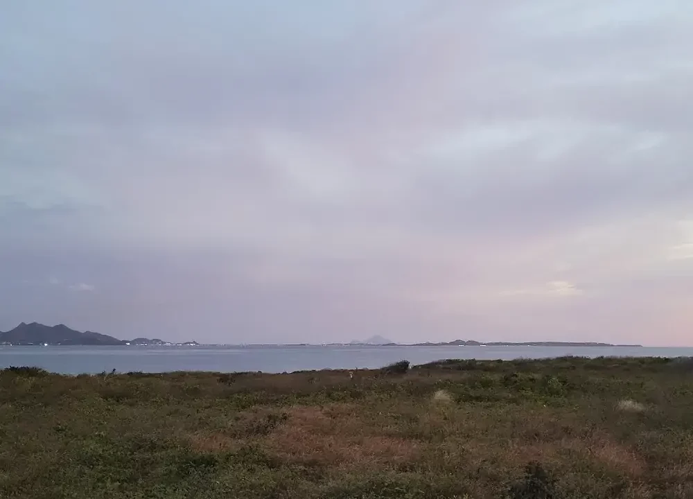 20250423_184401.jpg