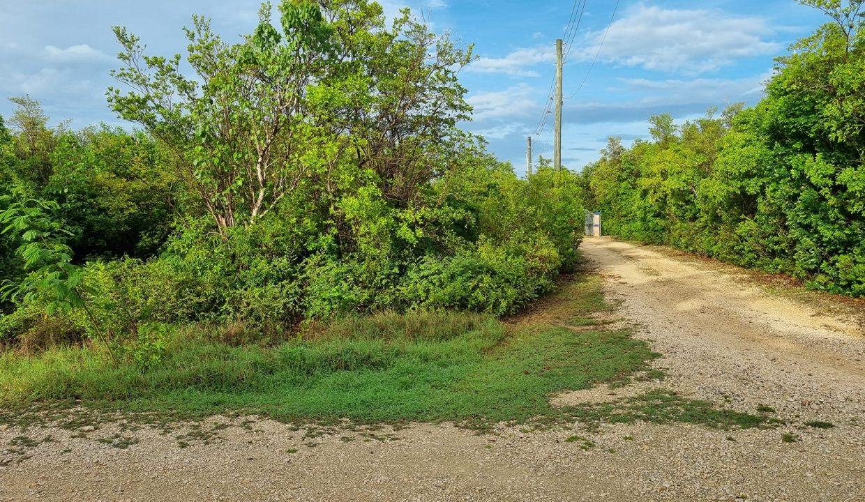 516768056_10163259817165833_6613468203128195632_n