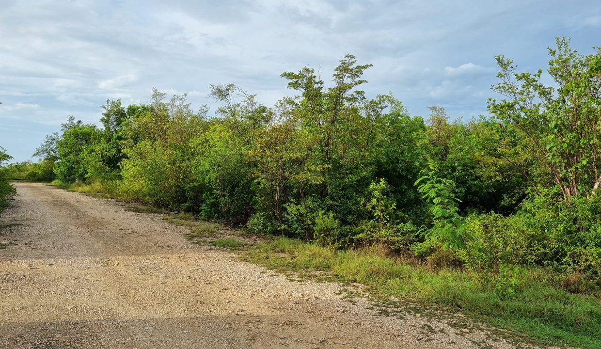 516946911_10163259817270833_3506913912392881366_n