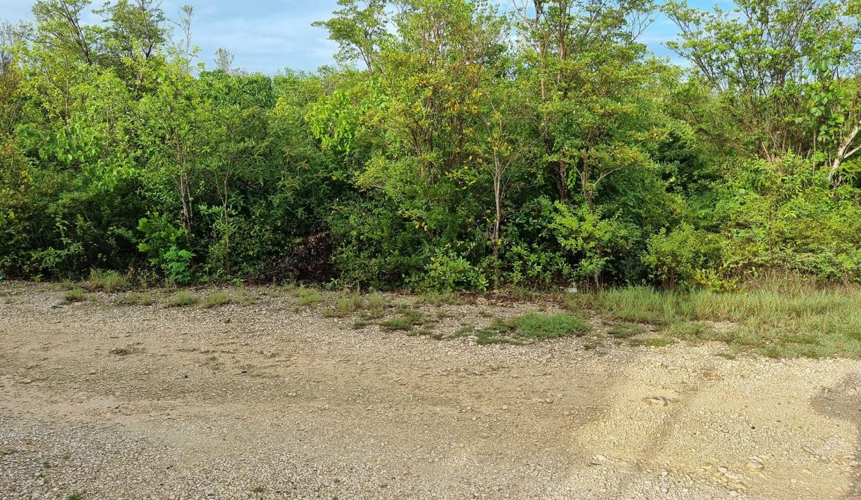 517410007_10163259817040833_7160383196286506908_n