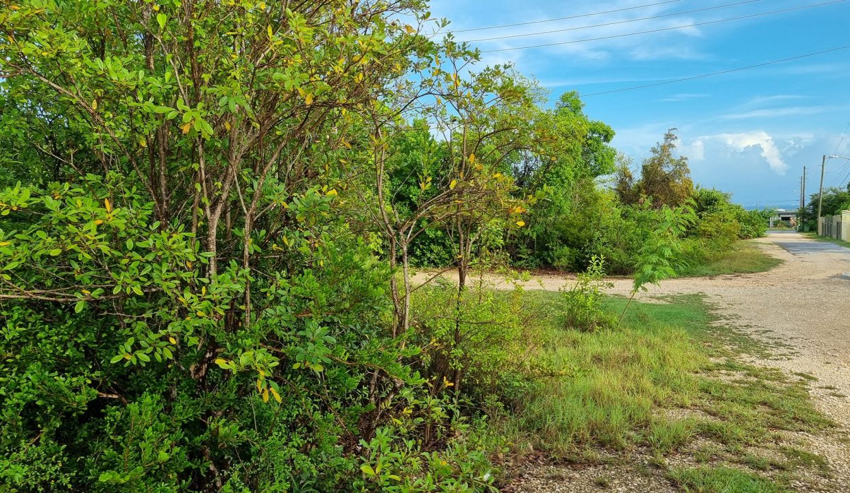 517671690_10163259817015833_4979983977000580505_n