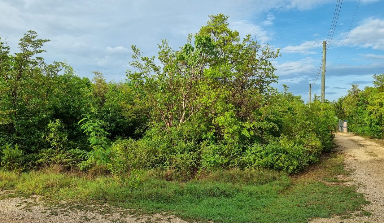 518198686_10163259817035833_7743718208425480545_n